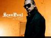 Sean Paul The Best