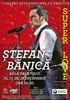 Stefan Banica - Concert extraordinar de Craciun 2010 la Sala Palatului