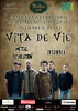 Concert Vita de Vie in Dallas Pub Botosani