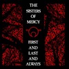 the-sisters-of-mercy_first-and-last-and-always