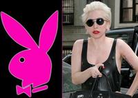 Lady Gaga va poza pentru Playboy... sau nu?