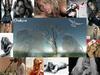 Shakira wallpaper Photos