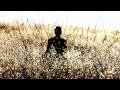 Splendor in the Grass (official video)