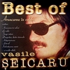 Best of Vasile Seicaru