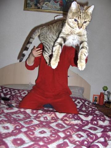 Superpussy