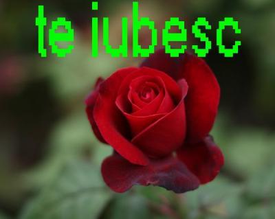 eu