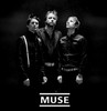 MUSE (3)