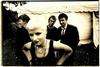 the cranberries (3)