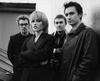 the cranberries (4)