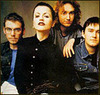 the cranberries (6)