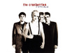 the cranberries (8)