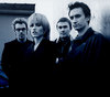 the cranberries (11)