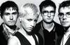 the cranberries (12)