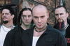 Disturbed