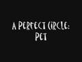 A Perfect Circle