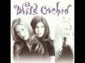 Wild Orchid
