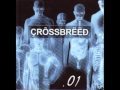 Crossbreed