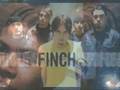 Finch